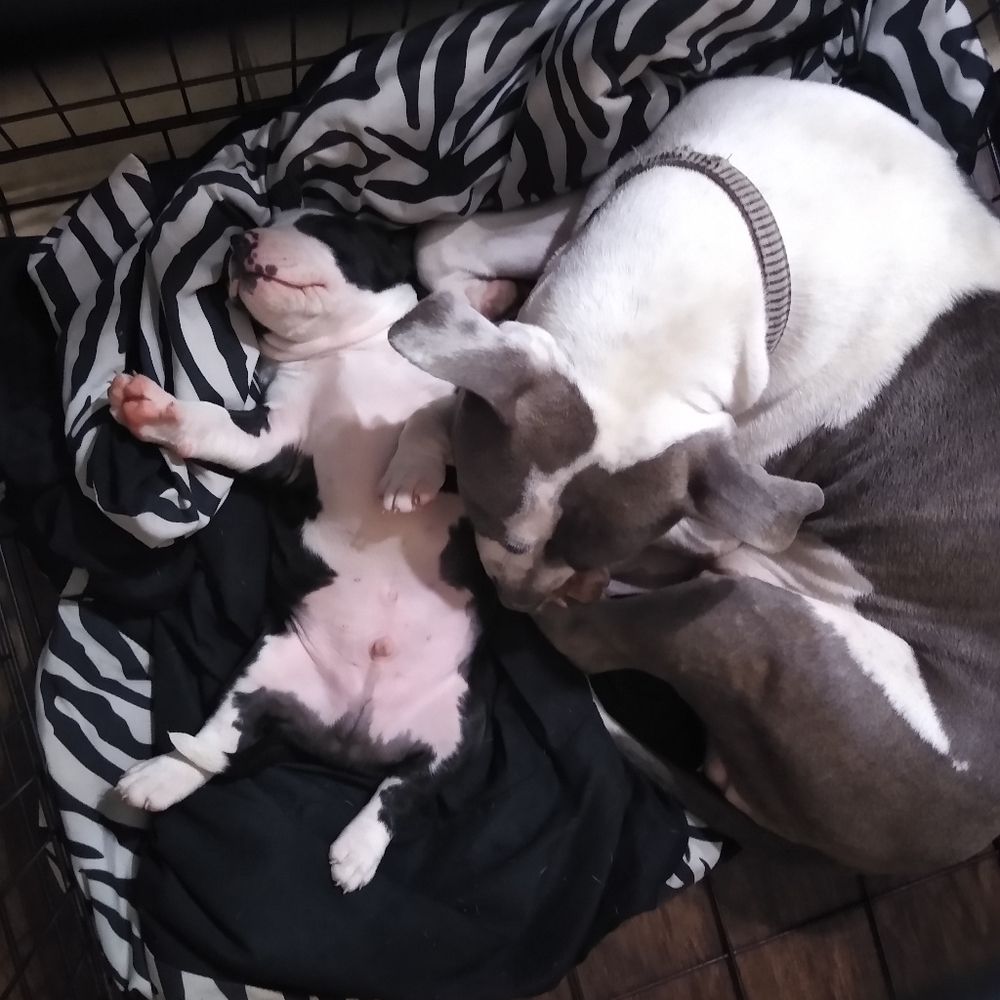 Meet your Posher, D'angelo